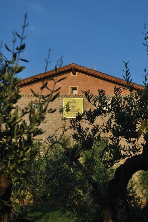 Agriturismo Casale Re Sonnino Eksteriør bilde