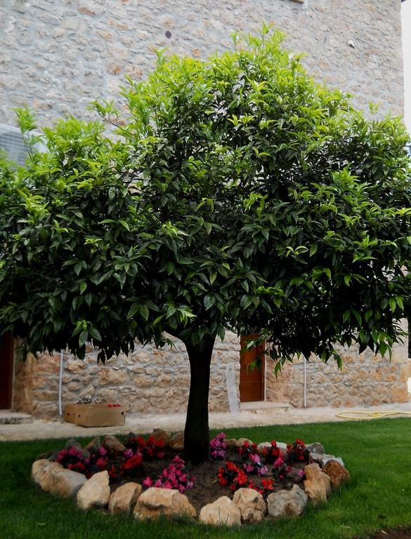 Agriturismo Casale Re Sonnino Eksteriør bilde